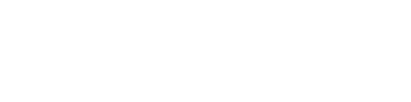 Logo Indian Motorcycle 125